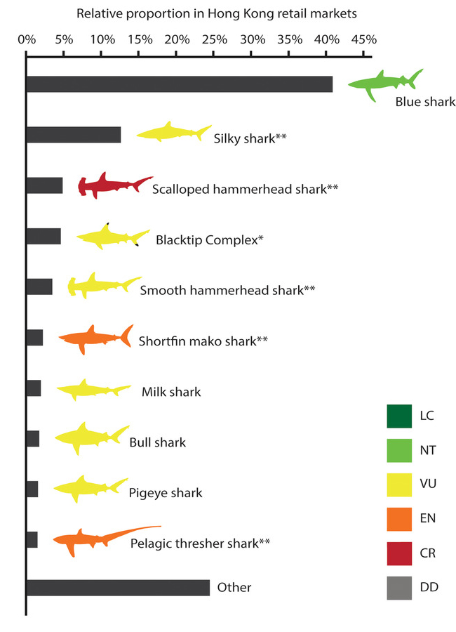 conl12910-fig-0001-m.jpg