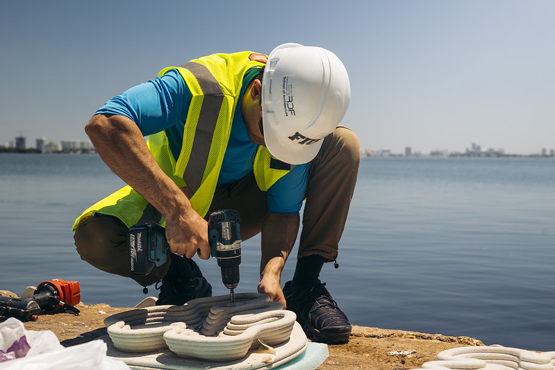 Installing seawall